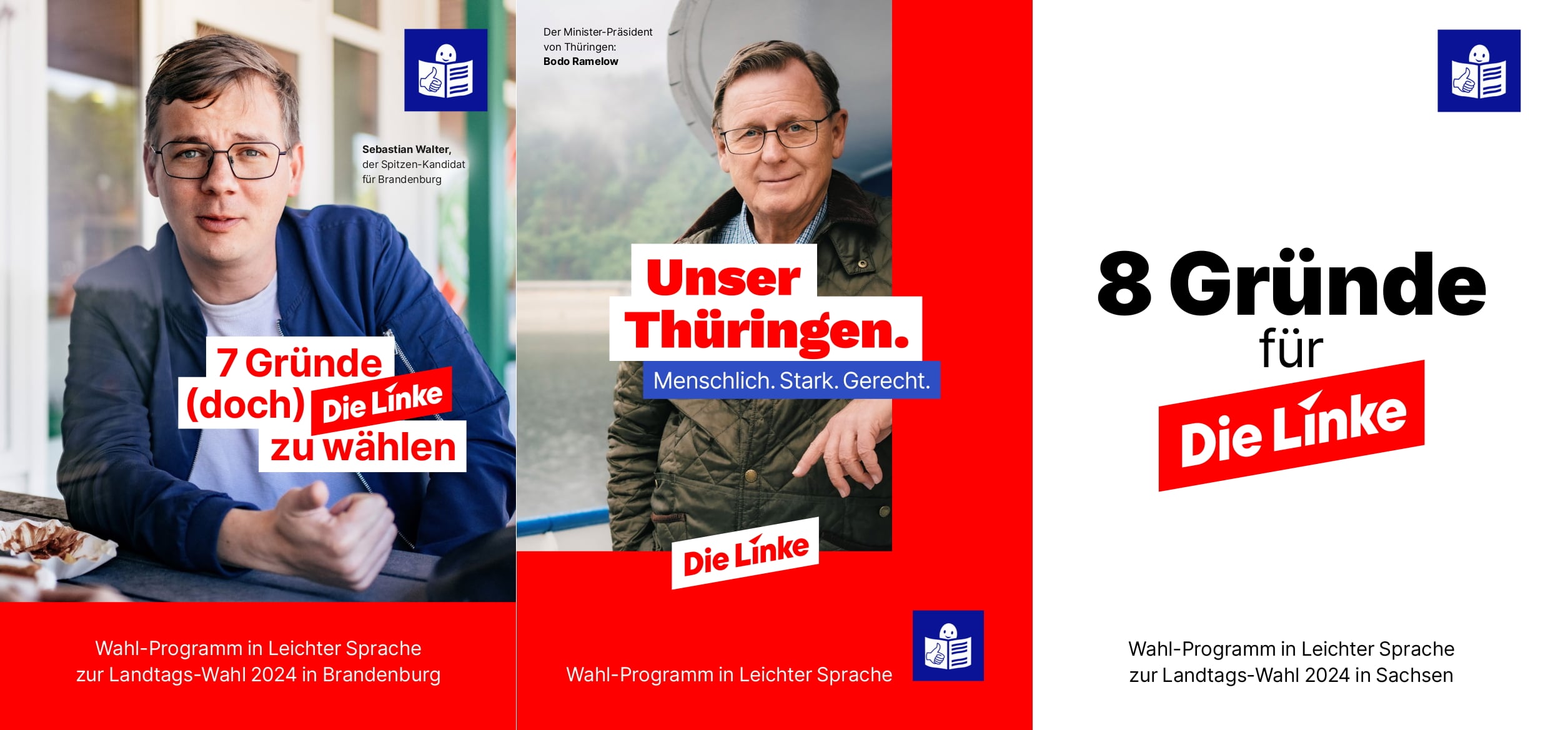 Die Linke Wahlprogramme in Leichter Sprache zur Landtags-Wahl 2024 für Brandenburg, Thüringen und Sachsen