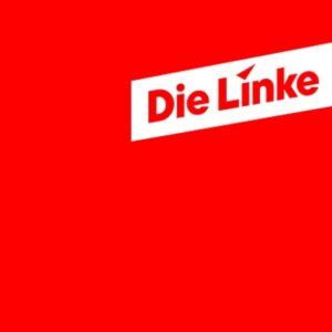 Die Linke Wahlprogramme 2024 in Leichter Sprache